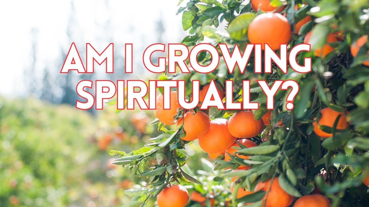 Am I Growing Spiritually?